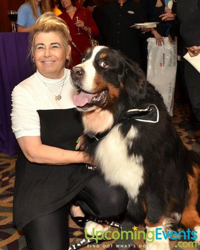 Photo from Good Dog Gala