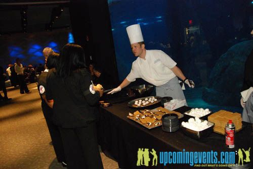 Photo from Hot Chocolate @ The Adventure Aquarium