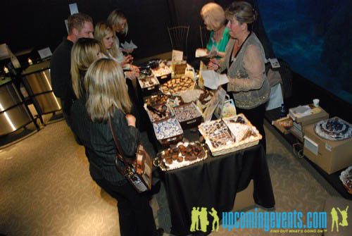 Photo from Hot Chocolate @ The Adventure Aquarium