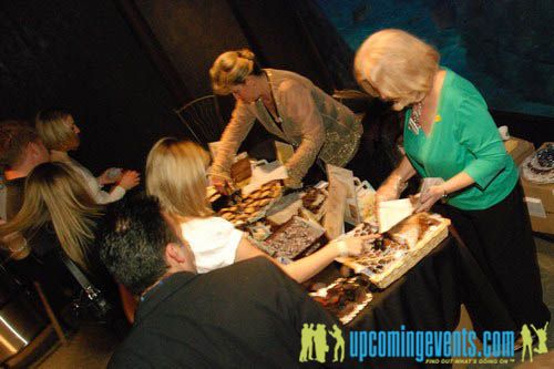 Photo from Hot Chocolate @ The Adventure Aquarium