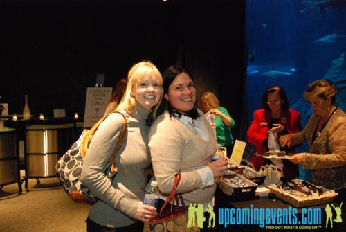 Photo from Hot Chocolate @ The Adventure Aquarium