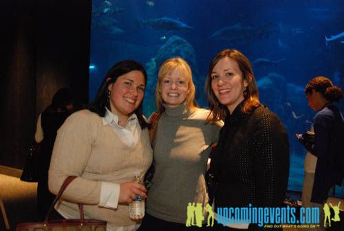 Photo from Hot Chocolate @ The Adventure Aquarium