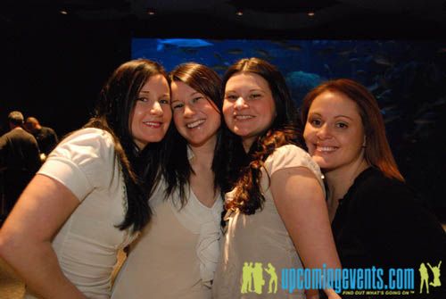 Photo from Hot Chocolate @ The Adventure Aquarium