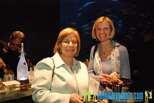 Photo from Hot Chocolate @ The Adventure Aquarium
