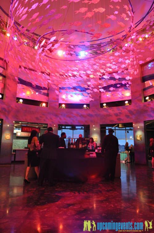 Photo from Hot Chocolate @ The Adventure Aquarium