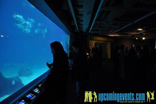 Photo from Hot Chocolate @ The Adventure Aquarium