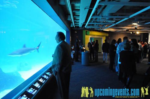 Photo from Hot Chocolate @ The Adventure Aquarium