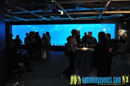 Photo from Hot Chocolate @ The Adventure Aquarium