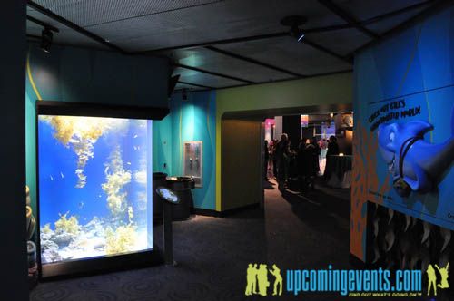 Photo from Hot Chocolate @ The Adventure Aquarium