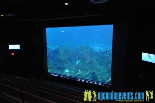 Photo from Hot Chocolate @ The Adventure Aquarium