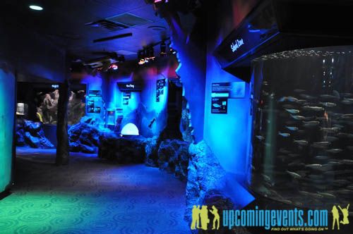 Photo from Hot Chocolate @ The Adventure Aquarium