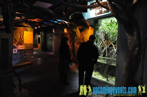 Photo from Hot Chocolate @ The Adventure Aquarium