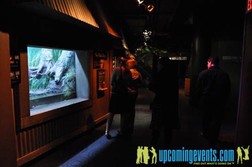 Photo from Hot Chocolate @ The Adventure Aquarium
