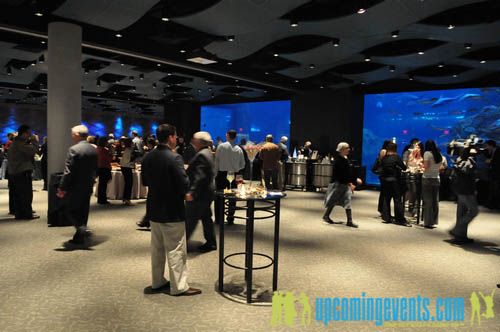 Photo from Hot Chocolate @ The Adventure Aquarium