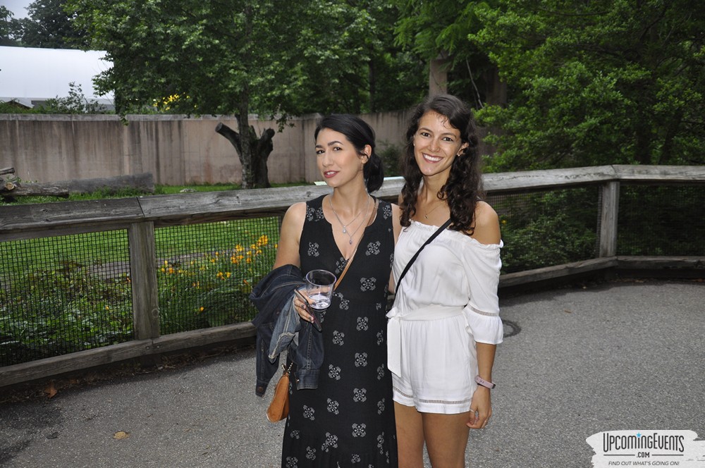 Photo from Summer Ale Festival at The Phladelphia Zoo